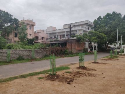 Tree plantations today at Shanti Niketan Colony, Mahendra Hills