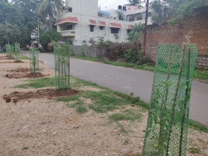 Tree plantations today at Shanti Niketan Colony, Mahendra Hills