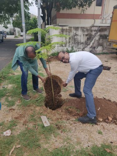 Tree plantations today at Shanti Niketan Colony, Mahendra Hills