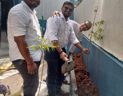 Tree Plantation